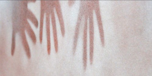 Kulturpreis Bisherige Preisträgerinnen und Preisträger