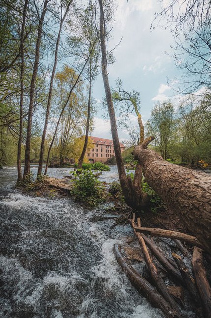 Moulin de la Blies Moulin de la Blies