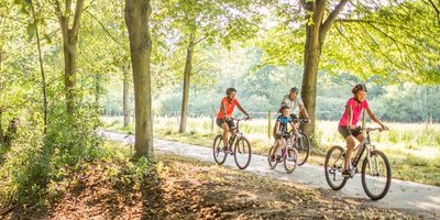 Köllertalradweg Eine Familie (zwei Erwachsene und zwei Kinder) auf Mountainbikes, die auf dem Köllertalradweg fahren - mitten im Wald.