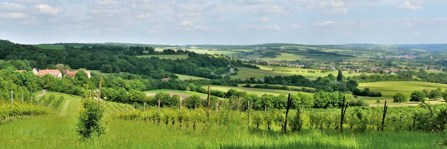 Blick auf eine begrünte, leicht hügelige Landschaft unter blauem, leicht bewölktem Himmel.