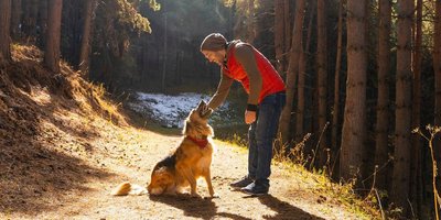 Mann mit Hund auf einem Waldweg der in Sonnenlicht getaucht ist und im Hintergrund ein wenig Schnee